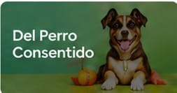Caso Del Perro Consentido